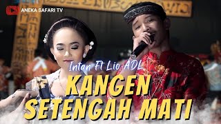 Download Lagu Intan ft Lio ADL - Kangen Setengah Mati (Official Music Video) MP3 Download Lagu Intan ft Lio ADL - Kangen Setengah Mati (Official Music Video) MP3