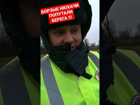 БЫКИ из ДПС докопались без ПРИЧИНЫ ОТШИЛИ БОРЗЫХ ГАЙЦОВ