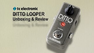 Ditto Looper Unboxing, Demo & Review