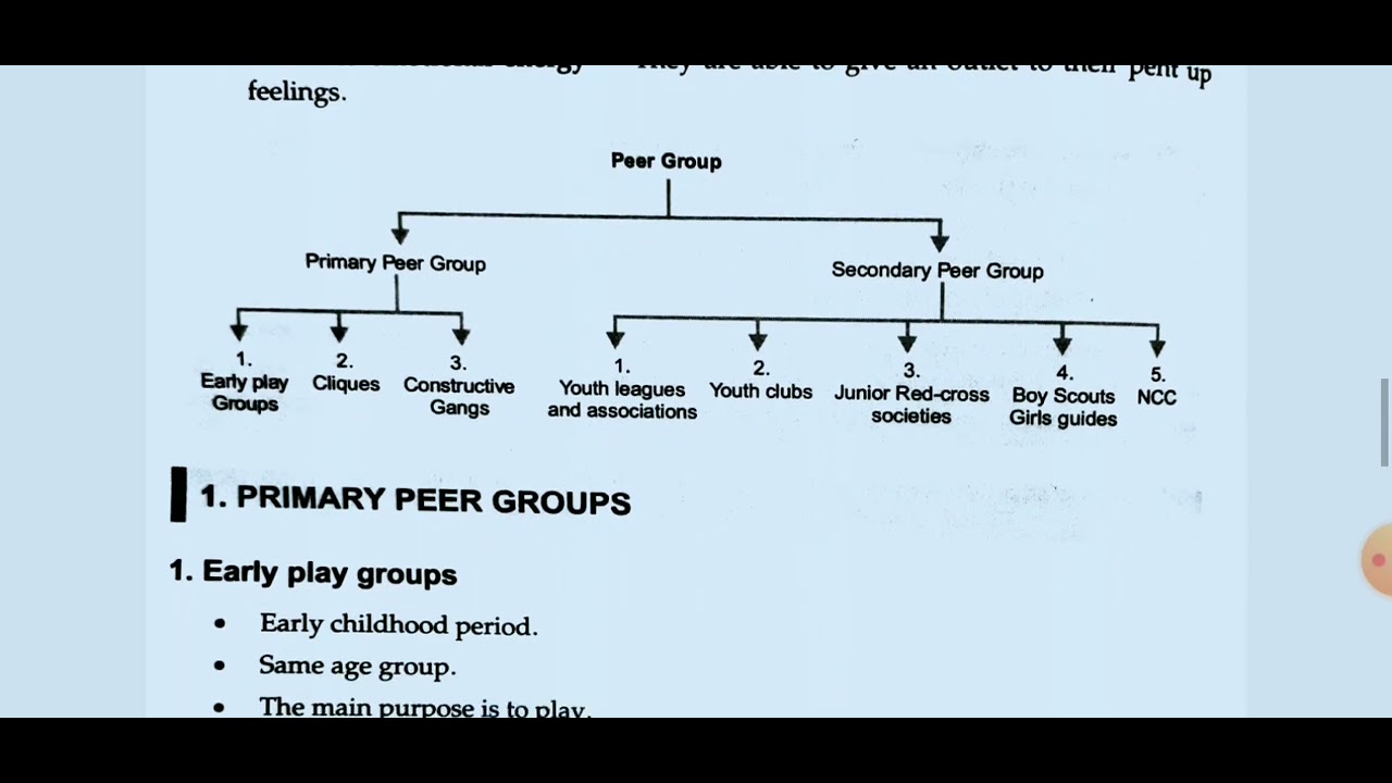 socialization :Role of family,peers, school (sociological bases of ...