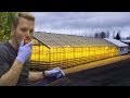 How Geothermal Energy Revolutionised Iceland’s Greenhouses | Earth Lab