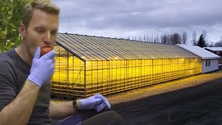 How Geothermal Energy Revolutionised Iceland’s Greenhouses | Earth Science