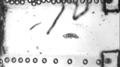 Hybrid soft-lithography / laser machined microchips for the parallel generation of droplets