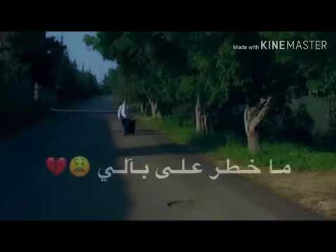 أيمن أمين لحالي بروح يويلي بجننن