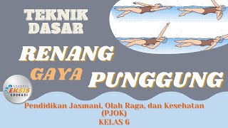 Download Lagu Teknik Dasar Renang Gaya Punggung - PJOK MP3