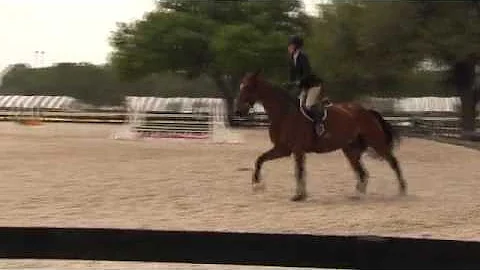 Video of CS QUIBET ridden by Katherine Farrington ...