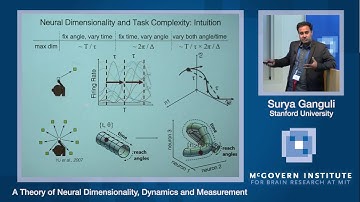 Surya Ganguli, A theory of neural dimensionality: McGovern Institute Symposium