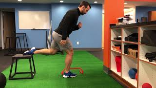 RFE Lateral Hurdel Hops