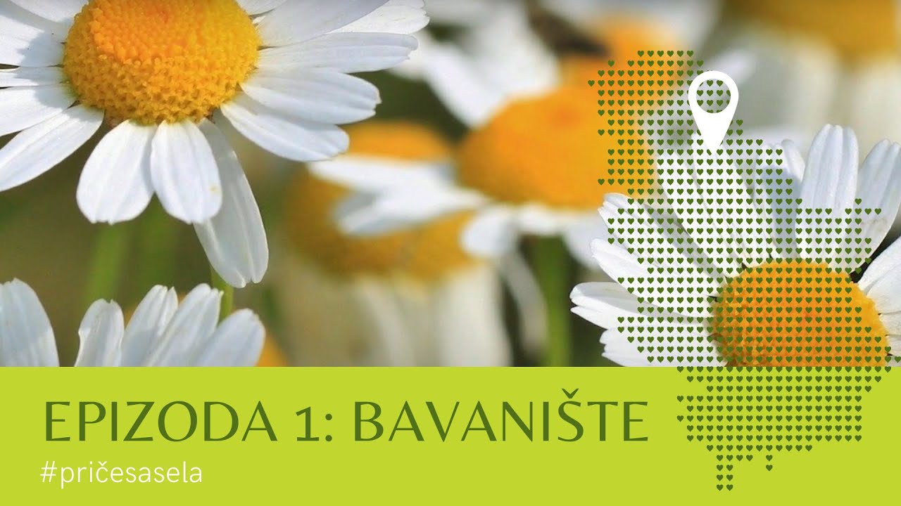 Lekovito BAVANIŠTE - Ovde Svi Gaje LEKOVITO Bilje, a Postoji i ČUDOTVORAN Manastir na Kraju Sela