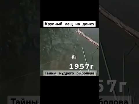 Крупный лещ на донку. 1957г #рыбалка #ссср #лещ #донка #шортс #shorts #
