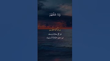 القارئ إسلام صبحي #آية_الـكرسي