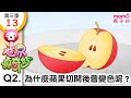 世界真奇妙S3 13 Q2 為什麼蘋果切開後會變色呢 為什麼 為甚麼 WHY 孩子的疑問 Q A 學習新知長知識 教育問答 第三季 第13集 題目02 親子台 官方HD短版 Momokids 世界真奇妙S3 13 Q2 為什麼蘋果切開後會變色呢 為什麼 為甚麼 WHY 孩子的疑問 Q A 學習新知長知識 教育問答 第三季 第13集 題目02 親子台 官方HD短版 Momokids