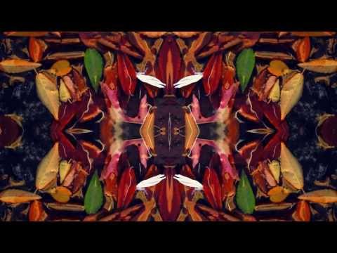 Washed Out - Paracosm [ALBUM TRAILER]