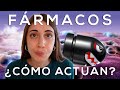 Así actúan los FÁRMACOS en tu CUERPO