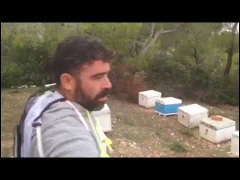 Βίντεο: Σε τι τιμή να πουλήσω μέλι