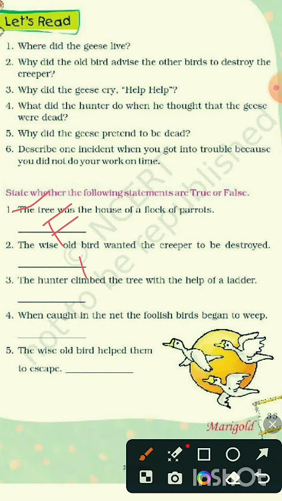 Flying Together/Unit2/class 5 English /Q&A #ytshorts #learnwithjyoti #class5english #flyingtogether