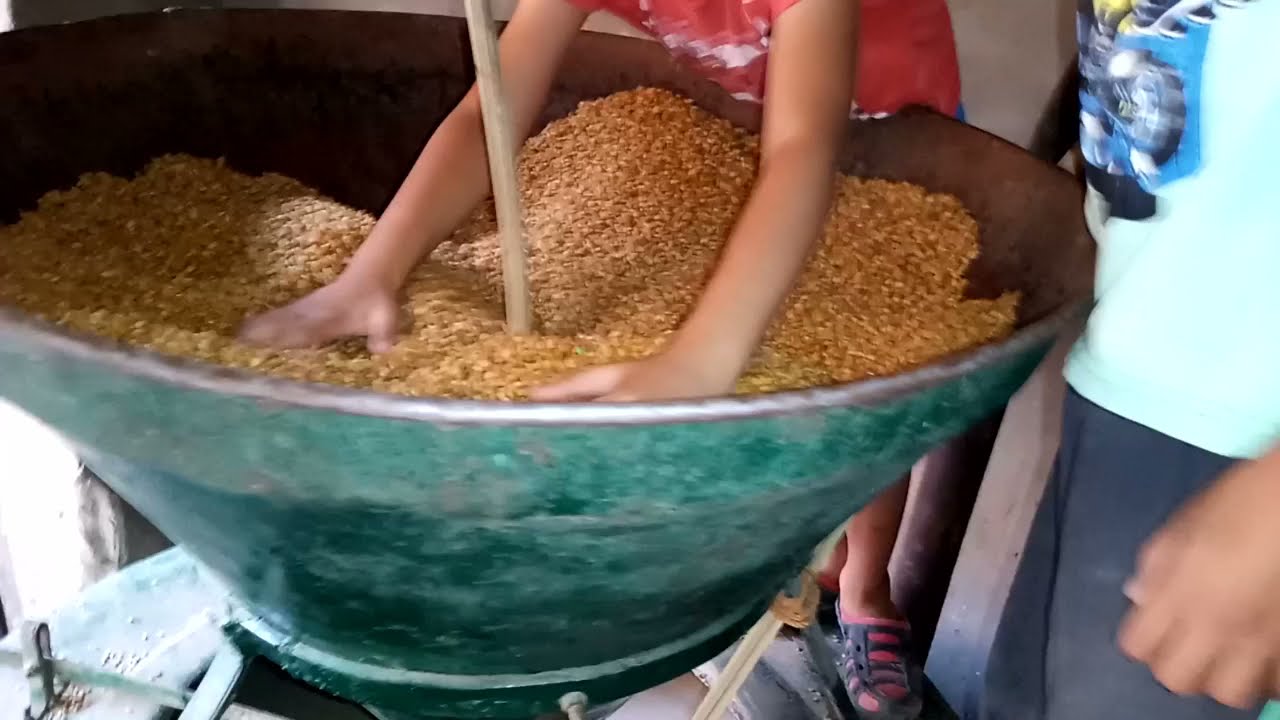 طاحونة القمح والدرة وجولة في الريف والزرع والة روي الزرع - YouTube