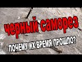 То что надо знать про Черные саморезы которые были 15 лет назад и теперь Не стоит их путать