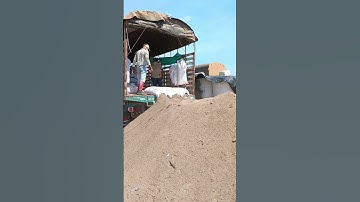 Unloading chicken 🐔 manure