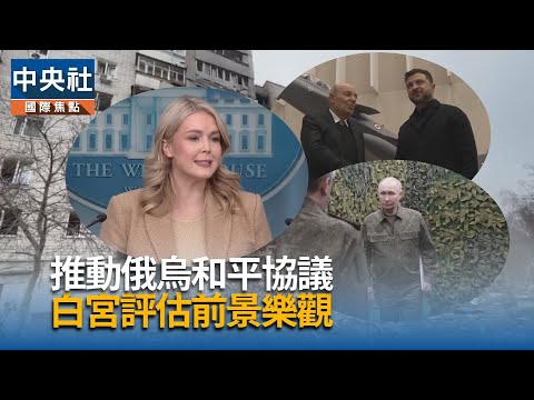 推動俄烏和平協議　白宮評估前景樂觀