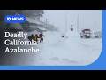 Eight skiers dead, one missing in California avalanche | ABC NEWS