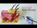 How to make skin craft model