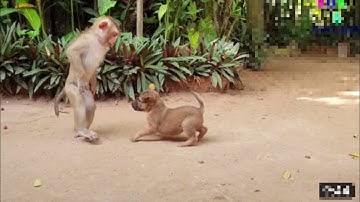 MY FIRST VLOG ❤️| MY FIRST VIDEOON YOUTUBE || bablu banna vlog@Active Rahul