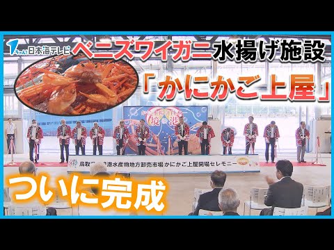 【建設費９億円】ベニズワイガニの水揚げ専用市場「かにかご上屋」完成高度な衛生管理でブランド力アップに期待　鳥取県境港市