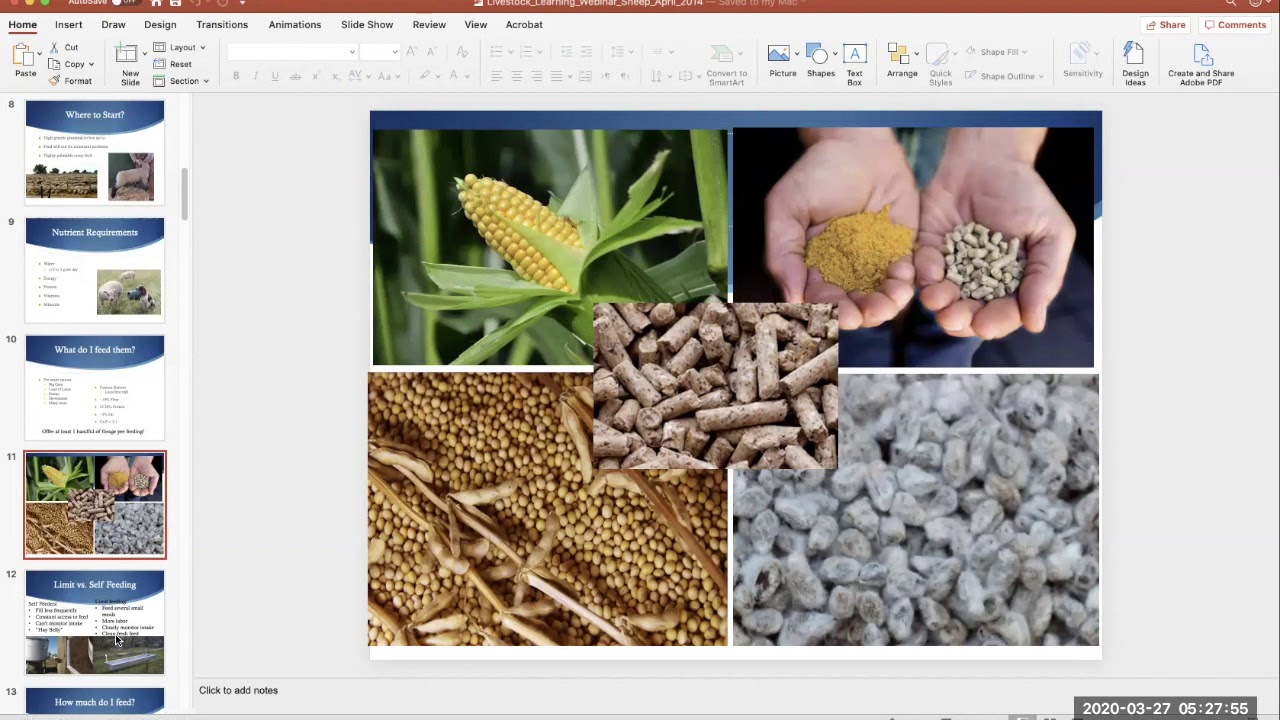 Sheep Livestock Learning Webinar