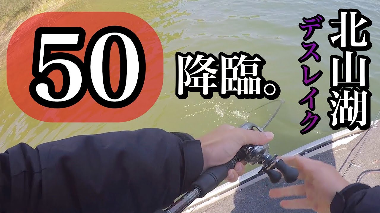 神回 北山ダムにゴーマル降臨 使用ルアーは最近流行りの Youtube