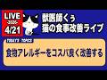 【猫の食事の質問にお答えします】食物アレルギーをコスパ良く改善する【アーカイブは4/22まで】