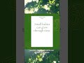 Atomic Habits by James Clear | Quick Book Summary #1 #Shorts