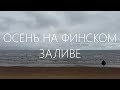 Санаторий &quot;Белые Ночи&quot;. Экскурсия по территории. Тайные тропы. Заброшенные объекты. Турники в лесу.