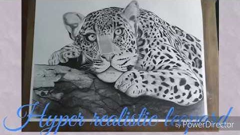 How to Draw a Leopard [Narrated, Step by Step]