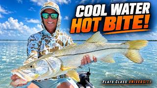 Fall Transition Fishing: How to Find Redfish & Snook | Flats Class YouTube