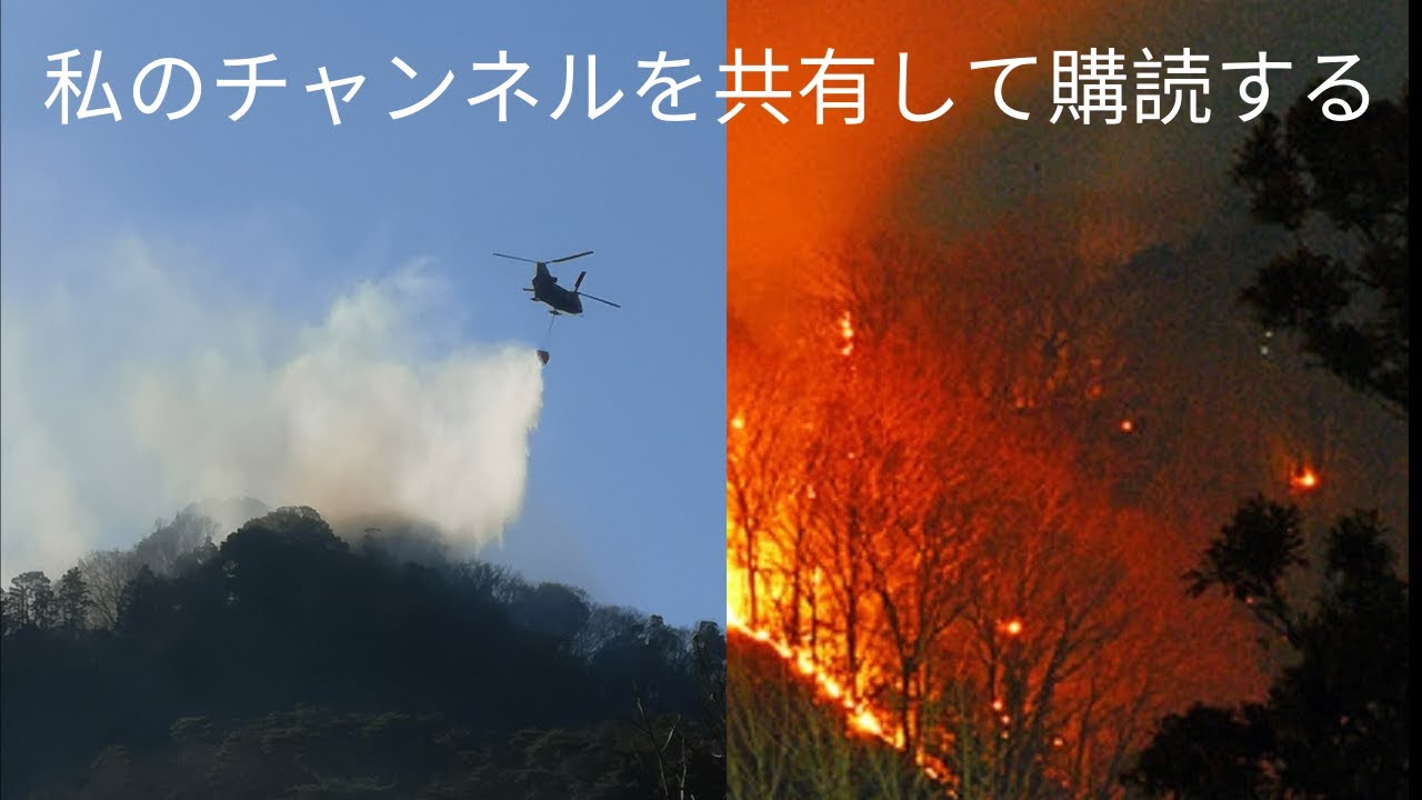 足利 山 火事 場所