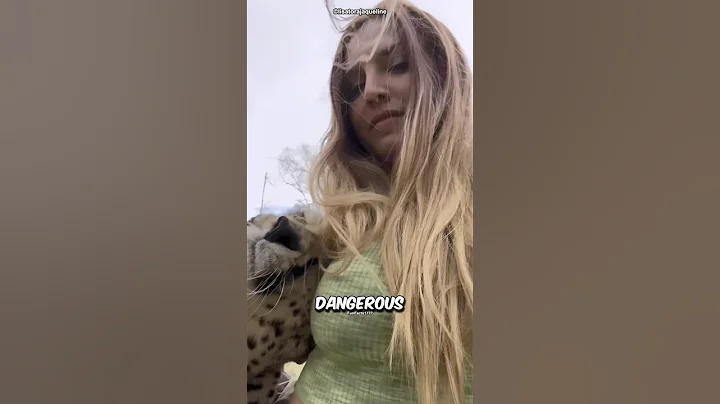 Why Sheikhs Keep Lions as Pets 😳 #facts #shorts #animals #wildlife