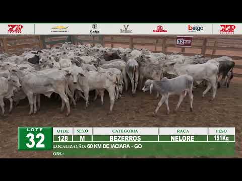 Lote 32