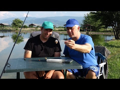 Шарани на водоем ''Рибката' '- www.digitalstudio.bg