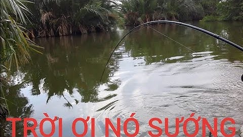 Vẫn là em POP huyền thoại - Em POP sát thủ - Câu cá chẽm ở xã Lý Nhơn, Huyện Cần Giờ