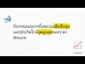 Bitcoin หยุดนิ่ง เจาะลึกสถานการณ์ จับตา! สัญญาณวาฬ Bitcoin ที่มักเกิดใกล้จุดพีคของราคา