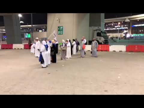 حجاج شركة النورس للسياحة والنقل