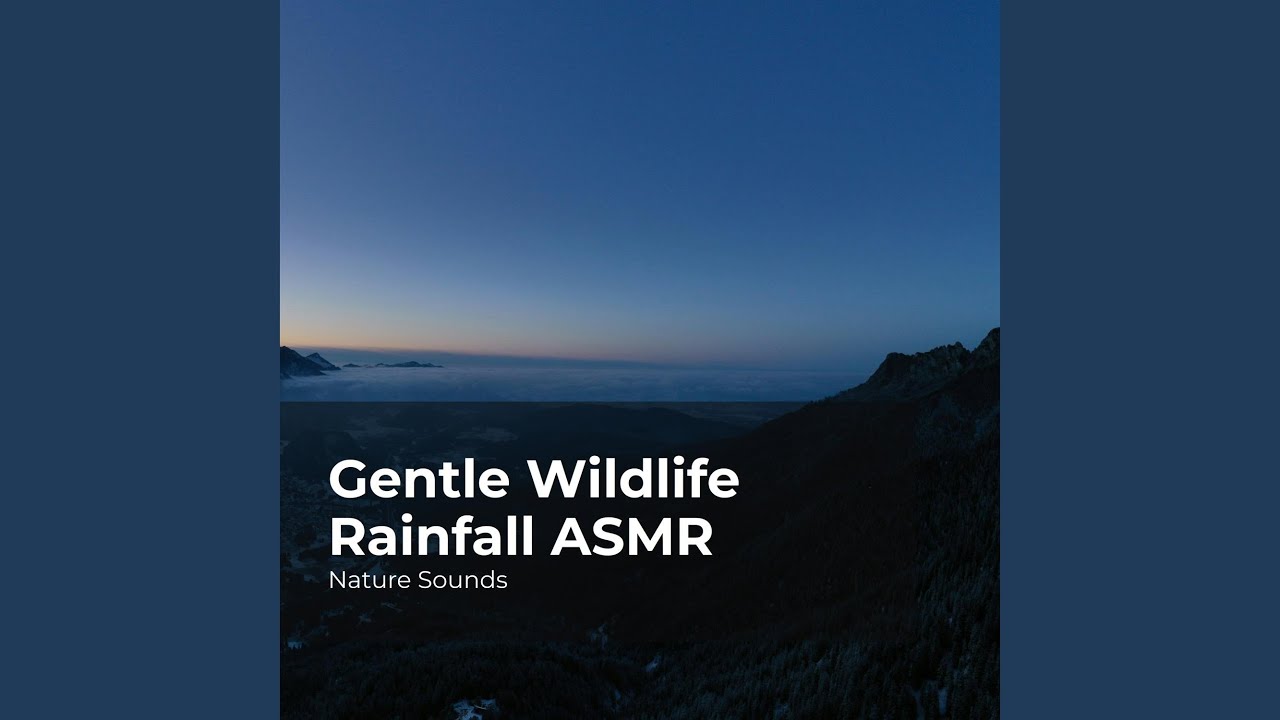 Gentle Wildlife Rainfall ASMR