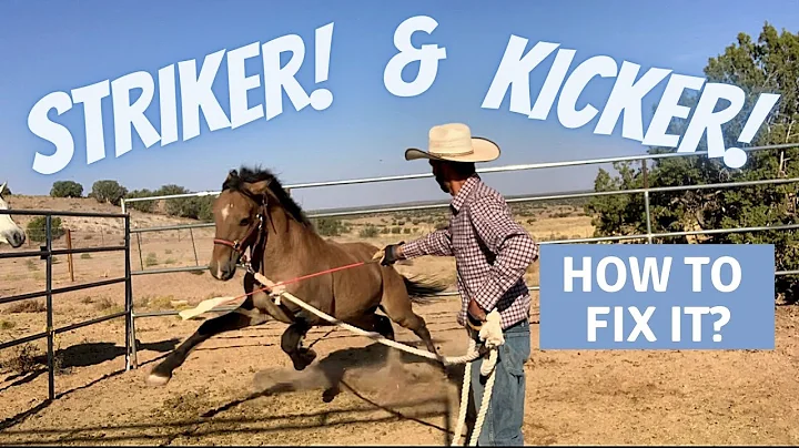 Striker and kicker! How do you fix a mustang that ...