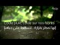 Idir - Pourquoi cette pluie Lyrics (Français - Arabe)