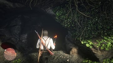 RDR2 - When the developers don