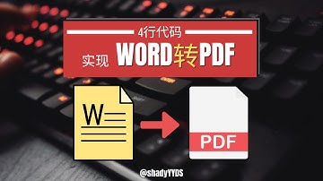 【Python教学】4行代码轻松搞定word文件转pdf文件，再也不用充会员啦 #Shady的混乱空间 #python #pdf #word #office