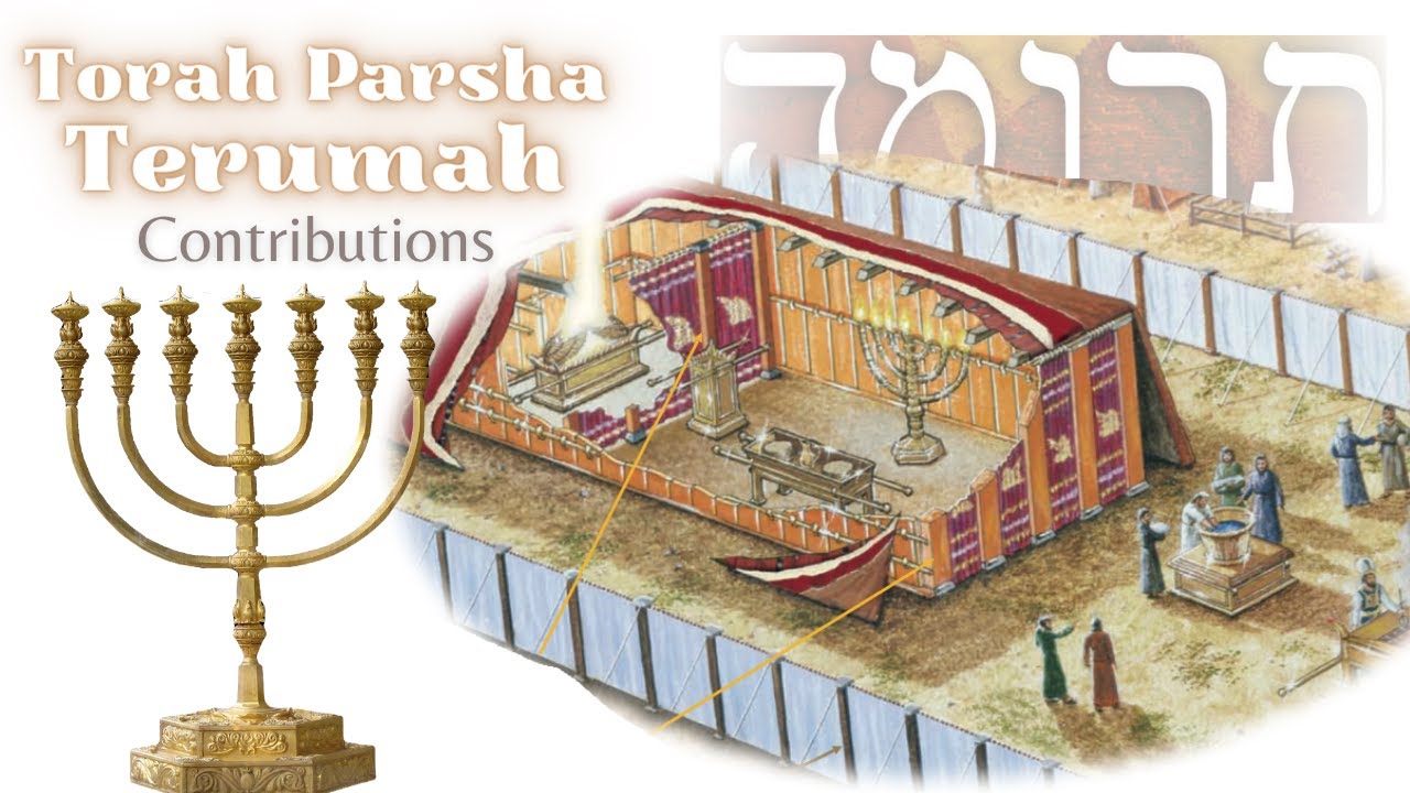 ⁣Torah Midrash Service, Torah portion "Terumah" (Contributions)