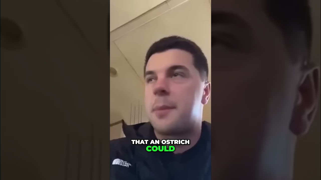 Raccoon Wrestling Dog & Violent Ostrich: You Won't Believe Your Eyes! 