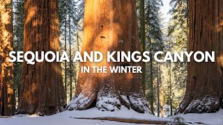 Winter in Sequoia and Kings Canyon National Parks | Travel Guide